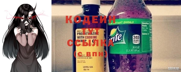 прущая мука Вяземский