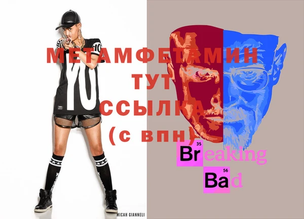 гидра Вязьма