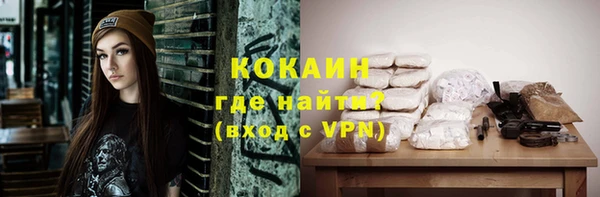 индика Семёнов