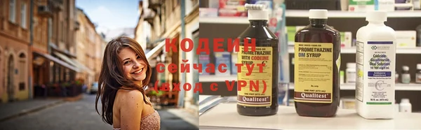 прущая мука Вяземский