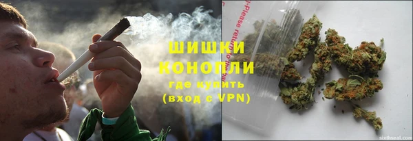прущая мука Вяземский