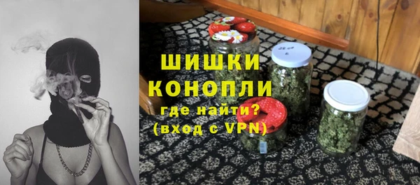 прущая мука Вяземский