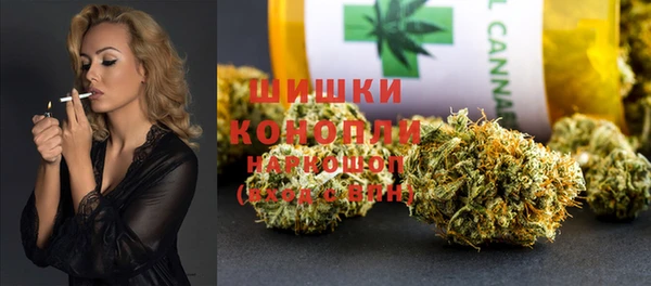 гидра Вязьма