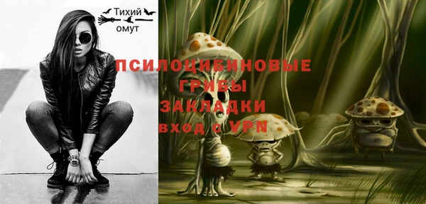гидра Вязьма