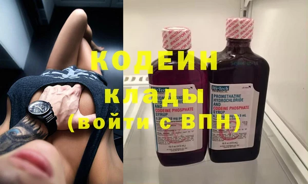 гидра Вязьма